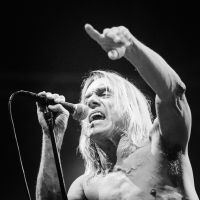 Iggy Pop op Lowlands 2006 - ©Jelmer de Haas - All Rights Reserved