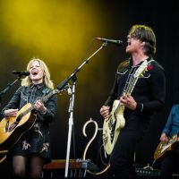The Common Linnets ©Jelmer de Haas - All Rights Reserved